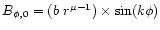 $B_{\phi,0} = (b\ r^{\mu-1})\times \sin (k\phi)$