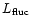 $L_{\rm fluc}$