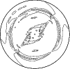 \begin{figure}
\par\includegraphics[width=8.8cm,clip]{ms1645f7.eps}
\end{figure}