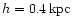 $h=0.4\,{\rm kpc}$
