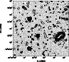 \begin{figure}
\par\includegraphics[angle=-90,width=8.5cm,clip]{Dh137_fig.ps}\end{figure}