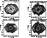 \begin{figure*}
\includegraphics[width=5cm,clip]{B_10.0_nu_el.ps}\hspace*{0.5cm...
...hspace*{2.2cm}
\includegraphics[width=5cm,clip]{B_10.0_nu_tot.ps}
\end{figure*}