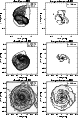 \begin{figure*}
\mbox{\includegraphics[width=7cm,clip]{O_1.08_dens.ps}\hspace*{...
...pace*{1.5mm}
\includegraphics[width=7cm,clip]{O_9.58_temp.ps} }\end{figure*}