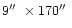 $9\hbox{$^{\prime\prime}$ }\times 170\hbox{$^{\prime\prime}$ }$