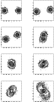 \begin{figure}
\par\includegraphics[width=12.5cm,clip]{ms1464f4.ps}\end{figure}