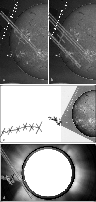 \begin{figure}
\par\includegraphics[width=8.5cm,clip]{klein2868_f4.eps}\end{figure}