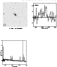 \begin{figure*}\par\psfig{figure=4070140.ps,width=17.5cm}\end{figure*}