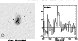 \begin{figure*}\par\psfig{figure=1190060.ps,width=17.5cm}\end{figure*}