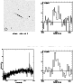 \begin{figure*}\par\psfig{figure=2010220.ps,width=17.5cm}\end{figure*}