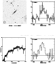 \begin{figure*}\par\psfig{figure=2350570.ps,width=17.5cm}\end{figure*}