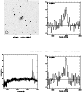 \begin{figure*}\par\psfig{figure=2860820.ps,width=17.5cm}\end{figure*}
