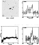 \begin{figure*}\par\psfig{figure=3050140.ps,width=17.5cm}\end{figure*}