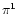 $\pi^1$