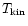 $T_{\rm kin}$