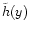 $\tilde{h}(y)$
