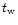$t_{\rm w}$