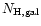 $N_{\rm H,gal}$