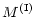 $\displaystyle %
M^{\rm (I)}$