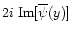 $2i\;{\rm Im}[\overline{\psi}(y)]$