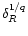 $\delta_{R}^{1/q}$