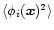 $\langle\phi_i({\vec x})^2 \rangle$