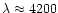 $\lambda \approx 4200$