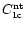 $C^{\rm nt}_{\rm 1c}$