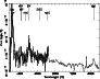 \begin{figure}
\par\includegraphics[angle=-90,width=8cm,clip]{h3222f13.ps}\end{figure}