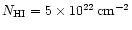 $N_{\rm HI}=5\times 10^{22}\, {\rm cm}^{-2}$