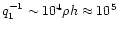 $q_{1}^{-1} \sim 10^4 \rho h
\approx 10^5$