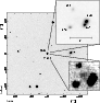 \begin{figure}
\par\resizebox{8.1cm}{!}{\includegraphics{Dl031_f1.eps}}
\end{figure}