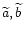 \( \widetilde{a},\widetilde{b} \)