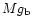 $Mg_{\rm b}$