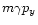 $m\gamma p_y$