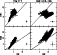 \begin{figure}
\par\includegraphics[width=6.6cm,clip]{h3076f2.eps}\end{figure}