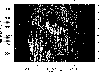 \begin{figure}
\par {\includegraphics[width=8.8cm,clip]{MS2031f2.eps} }
\end{figure}