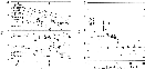 \begin{figure}
\par\includegraphics[width=6.5cm,clip]{MS1576f13.eps}\hspace*{5mm}
\includegraphics[width=6.5cm,clip]{MS1576f14.eps}\end{figure}