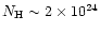 $N_{\rm H} \sim 2 \times 10^{24}$