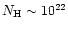 $N_{\rm H} \sim 10^{22}$