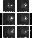 \begin{figure}
\par\includegraphics[width=9cm,clip]{1661.f2} %
\end{figure}