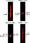 \begin{figure}
\par\includegraphics[width=9cm,clip]{1661.f14}\end{figure}