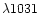 $\lambda1031$