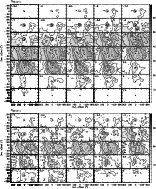 \begin{figure}
\par\includegraphics[width=18cm,clip]{MS1892f6a.eps}\par\includegraphics[width=18cm,clip]{MS1892f6b.eps}\end{figure}