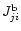 $J_{ji}^{\rm b}$