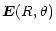 $\displaystyle \vec{E} (R,\theta)$