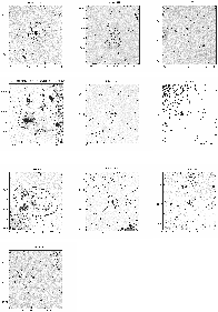 \begin{figure}
\par\includegraphics[width=17cm,clip]{MS2087fA1c.eps}
\end{figure}