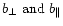 $b_{\perp} \mbox{ and } b_{\parallel}$