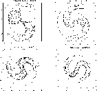 \begin{figure}
\par\includegraphics[angle=270,width=12.5cm,clip]{1606_f5r.eps} \end{figure}