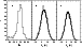 \begin{figure}
\psfig{figure=ms1853f2.eps,width=88mm,clip=}\end{figure}