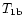 $T_{\rm {1b}}$